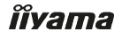 iiyama